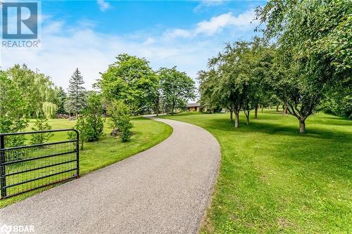 View of home's community with a yard