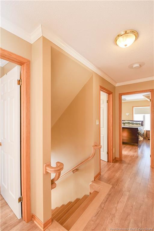 









2449


160

RTE,
Saint-Sauveur,




NB
E8L 1R7

