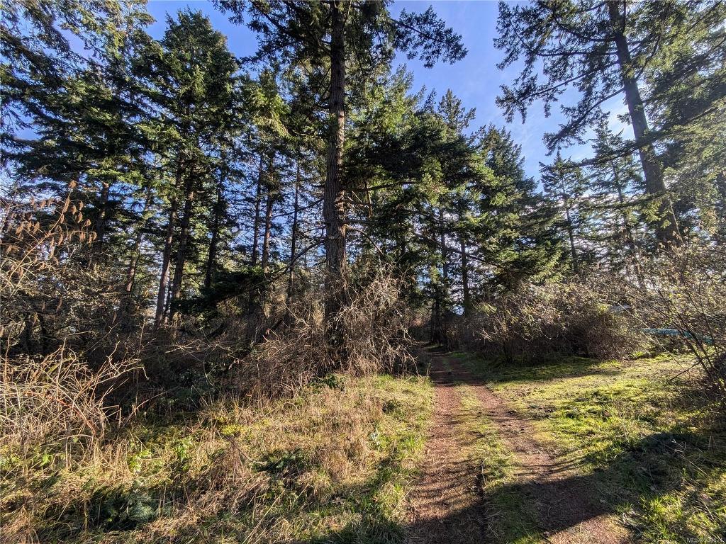 









185


Pirates

Lane,
Protection Island,







BC
V9R 6R1

