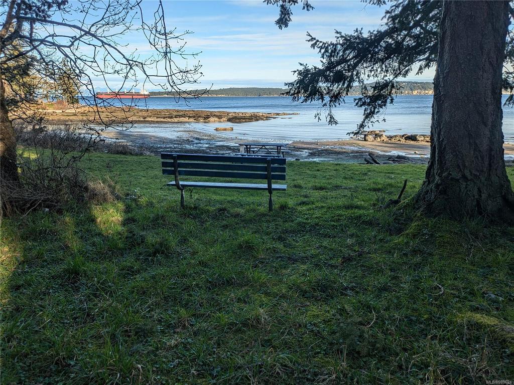 









185


Pirates

Lane,
Protection Island,







BC
V9R 6R1

