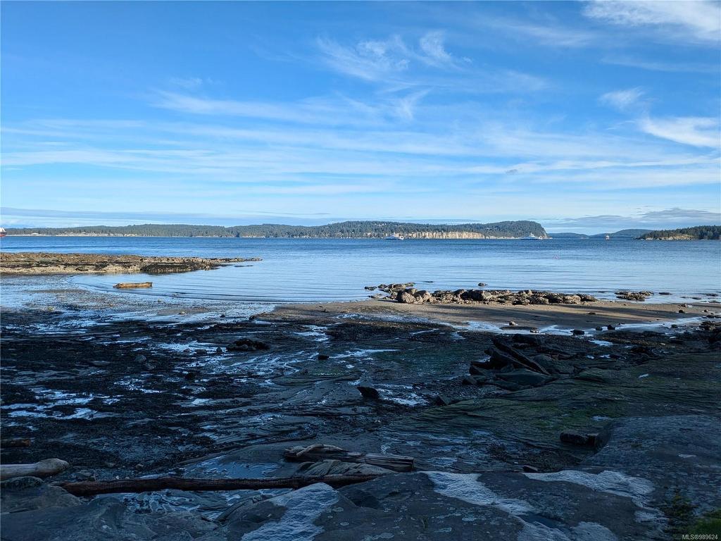 









185


Pirates

Lane,
Protection Island,







BC
V9R 6R1

