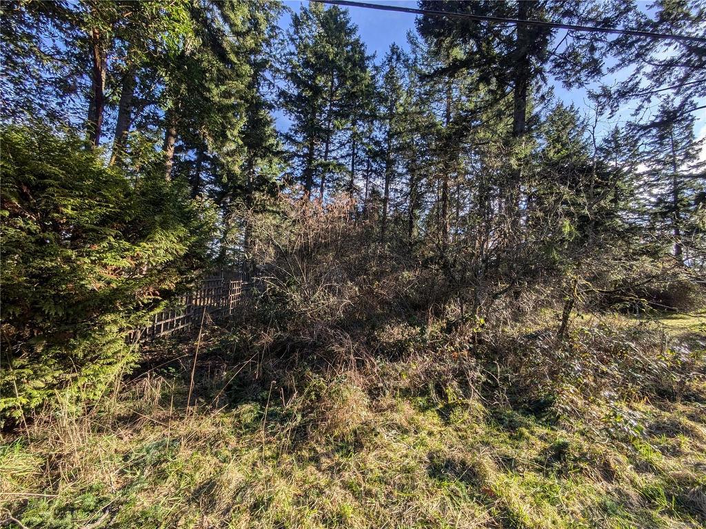 









185


Pirates

Lane,
Protection Island,







BC
V9R 6R1

