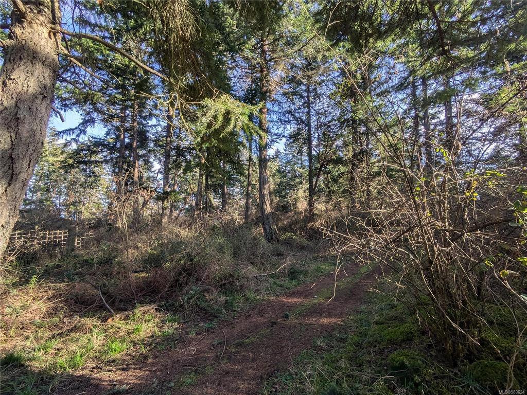 









185


Pirates

Lane,
Protection Island,







BC
V9R 6R1

