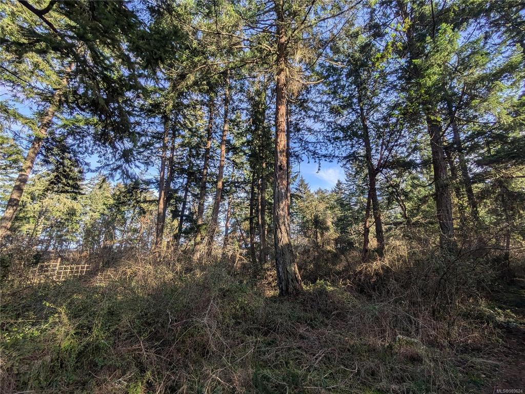 









185


Pirates

Lane,
Protection Island,







BC
V9R 6R1

