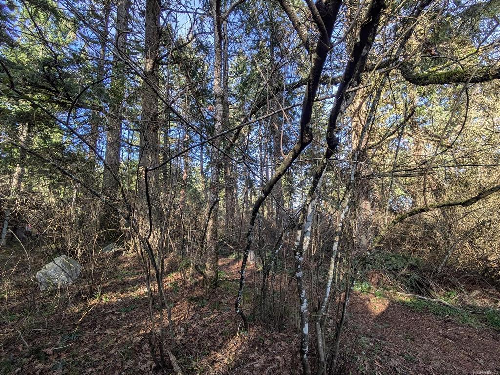 









185


Pirates

Lane,
Protection Island,







BC
V9R 6R1

