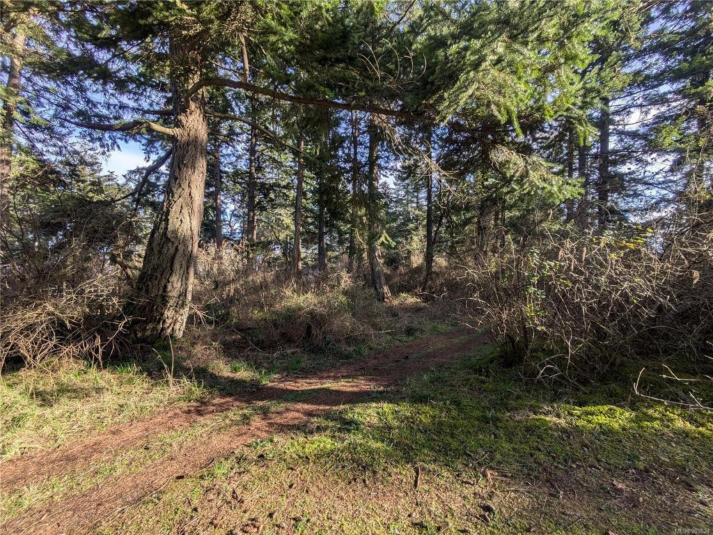









185


Pirates

Lane,
Protection Island,







BC
V9R 6R1

