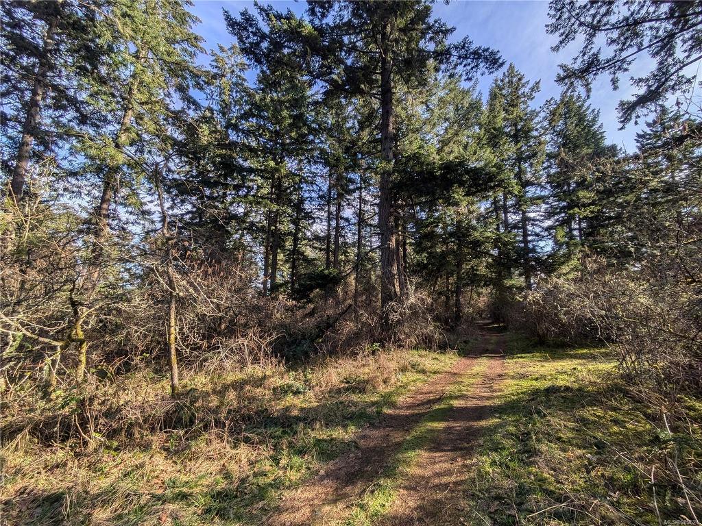 









185


Pirates

Lane,
Protection Island,







BC
V9R 6R1

