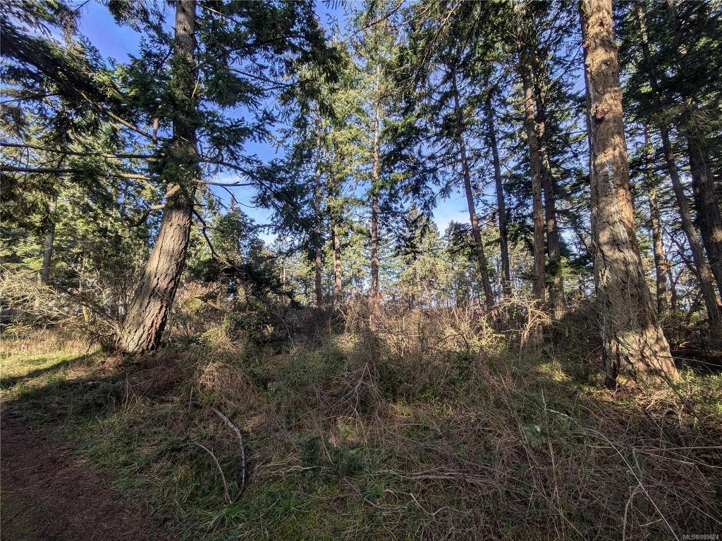 









185


Pirates

Lane,
Protection Island,







BC
V9R 6R1

