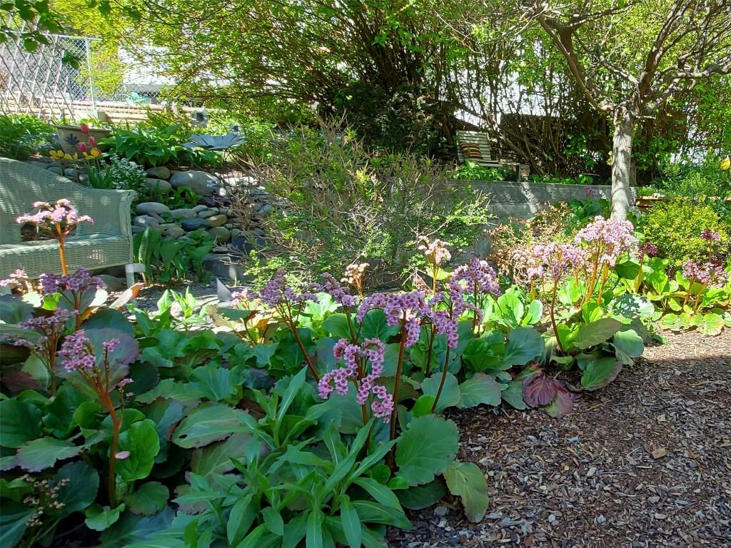 









5706


Butler

Street,
Summerland,




BC
V0H 1Z1

