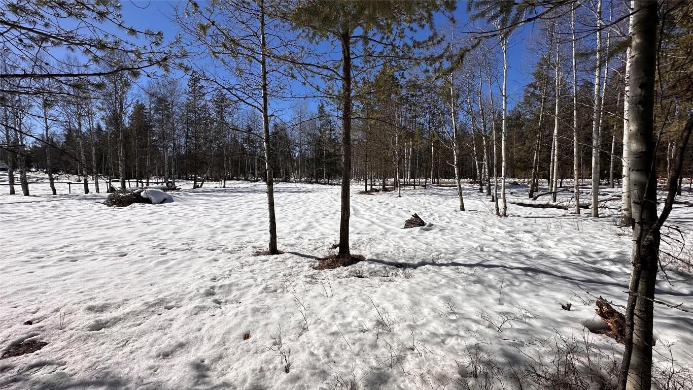 









Lot 2


Kincade

Road,
Kimberley,







BC
V1A 3M1

