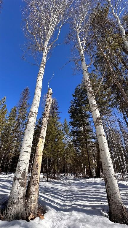 









Lot 2


Kincade

Road,
Kimberley,







BC
V1A 3M1

