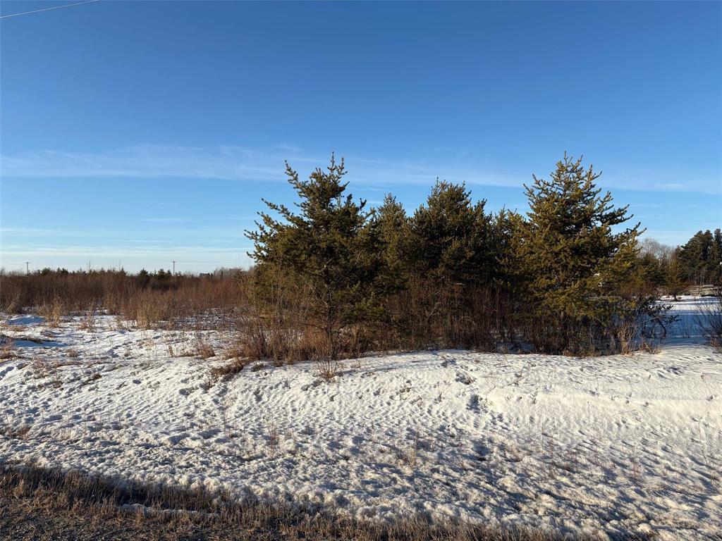 












295 Seine River Trail

,
Marchand,







Manitoba
R0A0Z0

