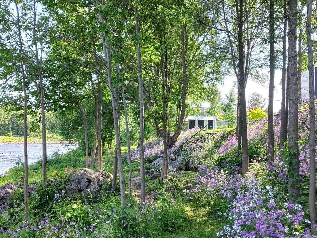 









30

 - 34


Ch. du Nord-du-Rocher

,
Saint-Pacôme,




QC
G0L3X0

