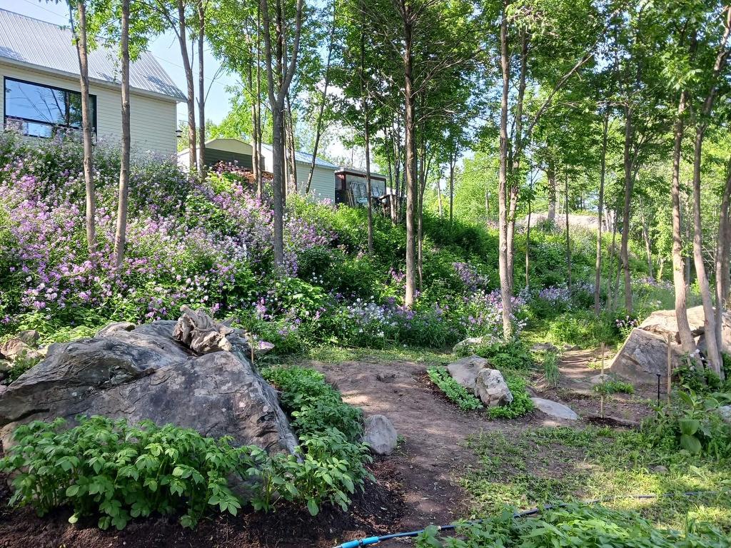 









30

 - 34


Ch. du Nord-du-Rocher

,
Saint-Pacôme,




QC
G0L3X0

