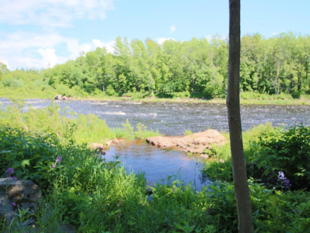 









30

 - 34


Ch. du Nord-du-Rocher

,
Saint-Pacôme,




QC
G0L3X0

