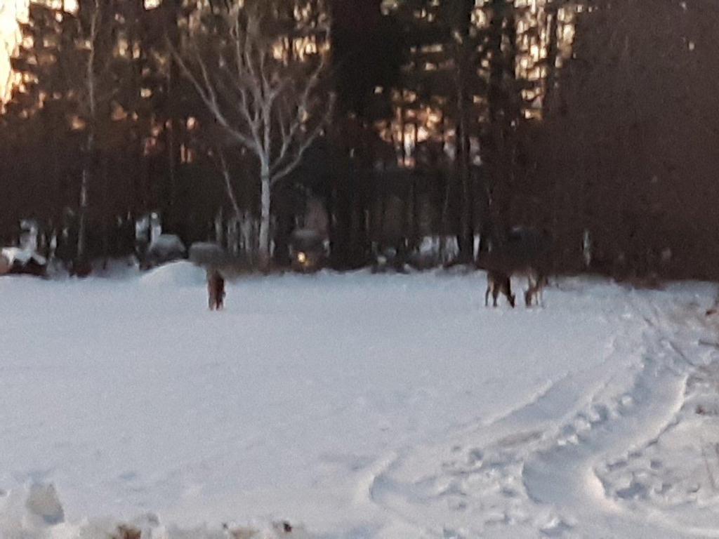 









30

 - 34


Ch. du Nord-du-Rocher

,
Saint-Pacôme,




QC
G0L3X0


