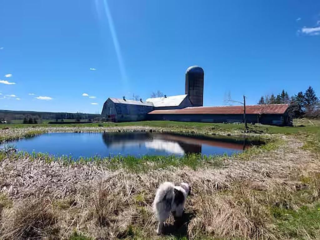 












11454 Highway 224

,
Elmsvale,







NS
B0N 1X0

