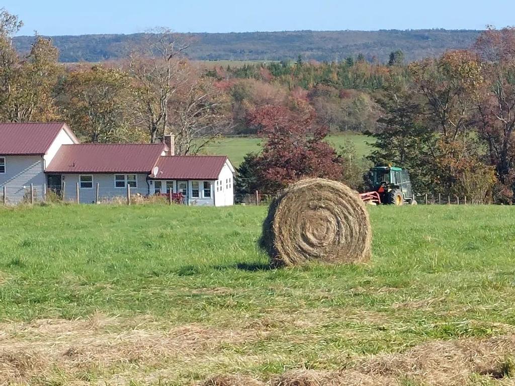 












11454 Highway 224

,
Elmsvale,







NS
B0N 1X0

