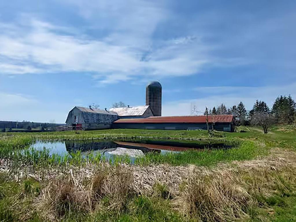 












11454 Highway 224

,
Elmsvale,







NS
B0N 1X0

