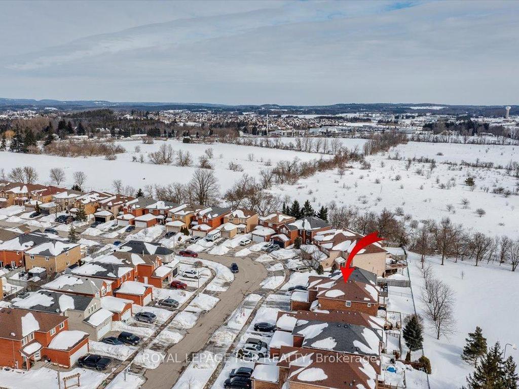 









244


Howard

Crescent,
Orangeville,




ON
L9W 4W6

