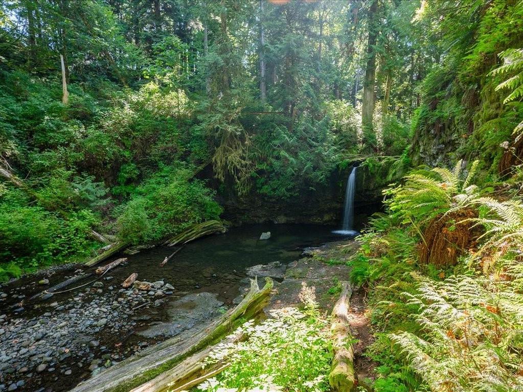 









3925


Porter

Rd,
Saltair,




BC
V9G 1Z2

