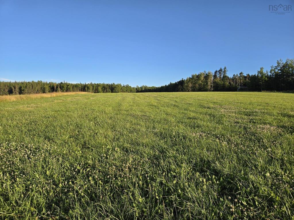 












Lot 1 Highway 215

,
Lower Selma,







NS
B0N 1T0

