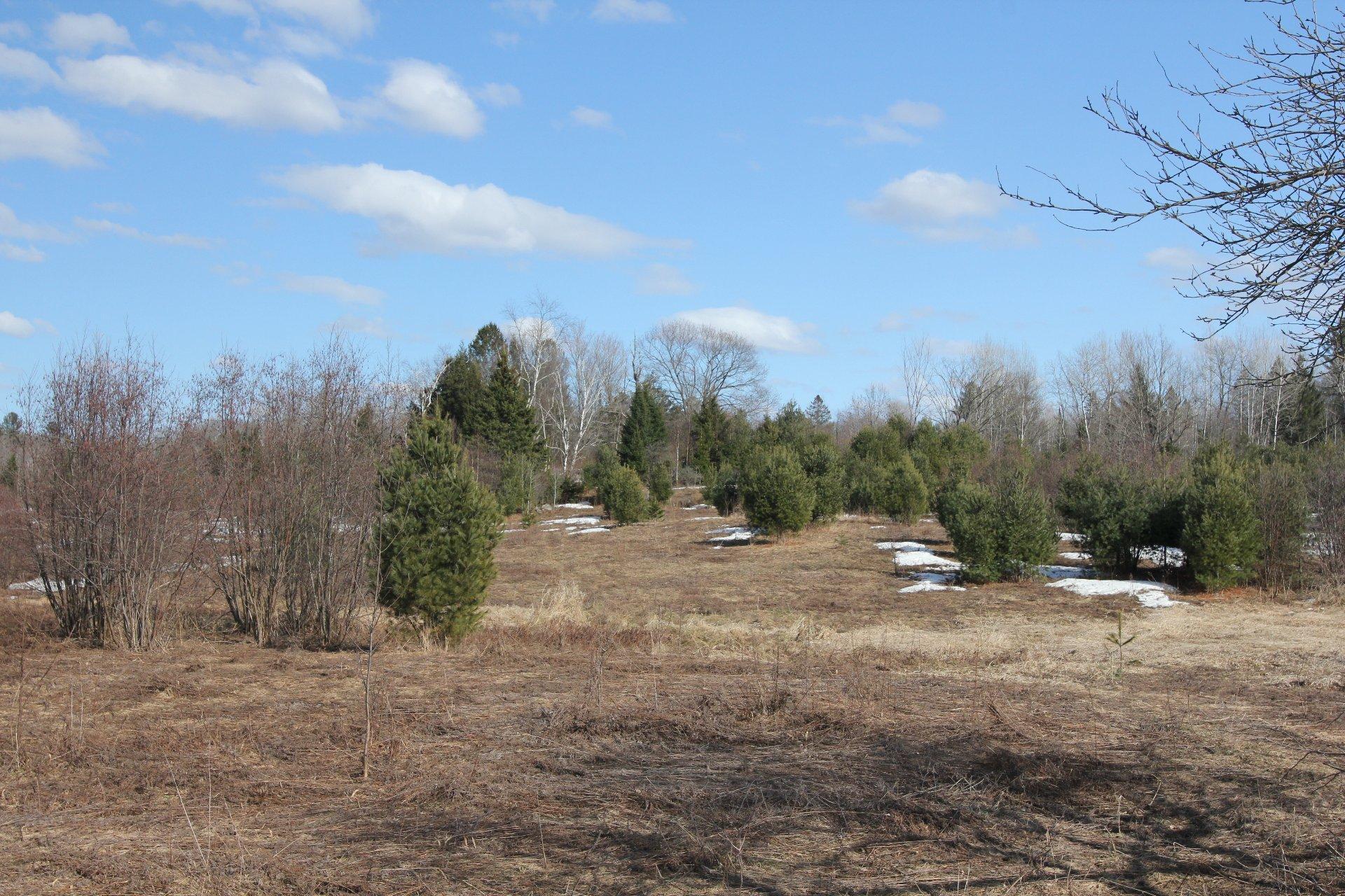 









4304


Route 315

,
Mayo,







QC
J8L4C6

