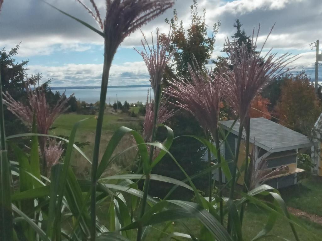 












164 Kenomee Heights Lane

,
Upper Economy,




NS
B0M 1J0

