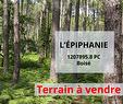 Terre/Terrain