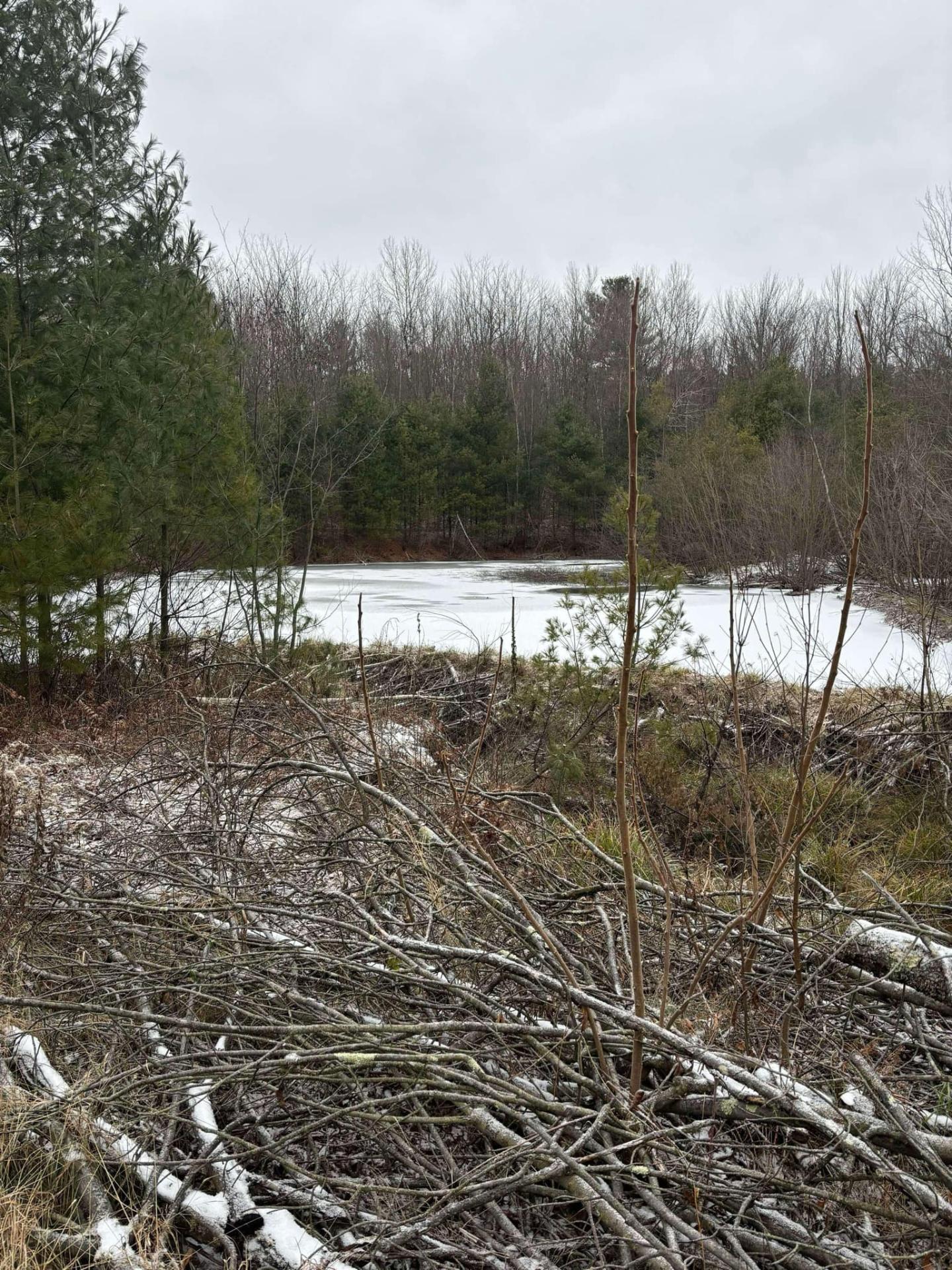 









857


Rg St-Esprit

,
L'Épiphanie,







QC
J5X4B7

