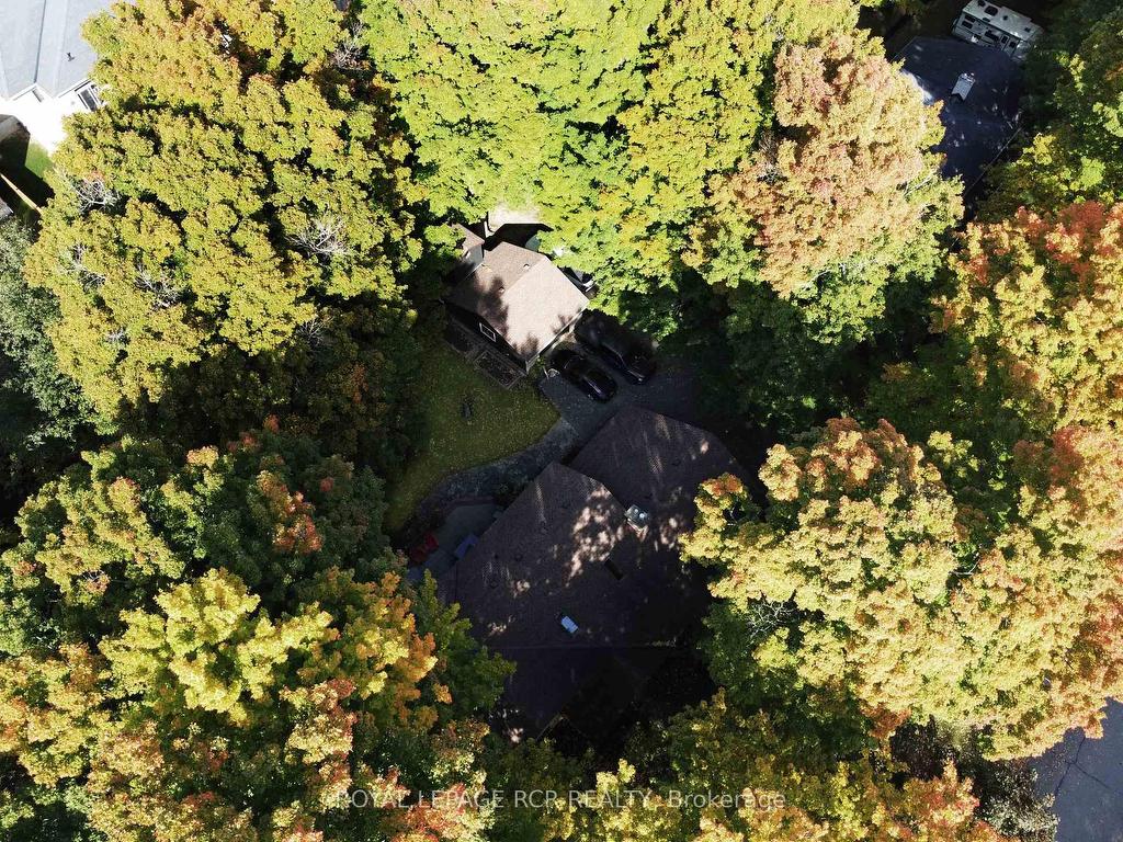 









117


Birch

Grove,
Shelburne,




ON
L9V 2W3

