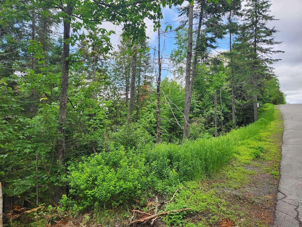 












Rue Valérie

,
Sainte-Agathe-des-Monts,







QC
J8C0E2

