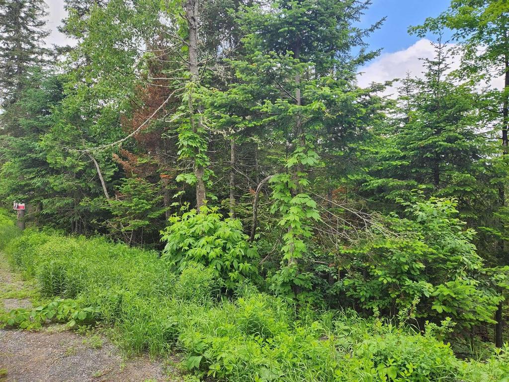 












Rue Valérie

,
Sainte-Agathe-des-Monts,







QC
J8C0E2

