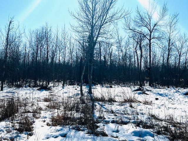 









38106


45N

RD,
Ste Anne Rm,







MB
R5H 1R2

