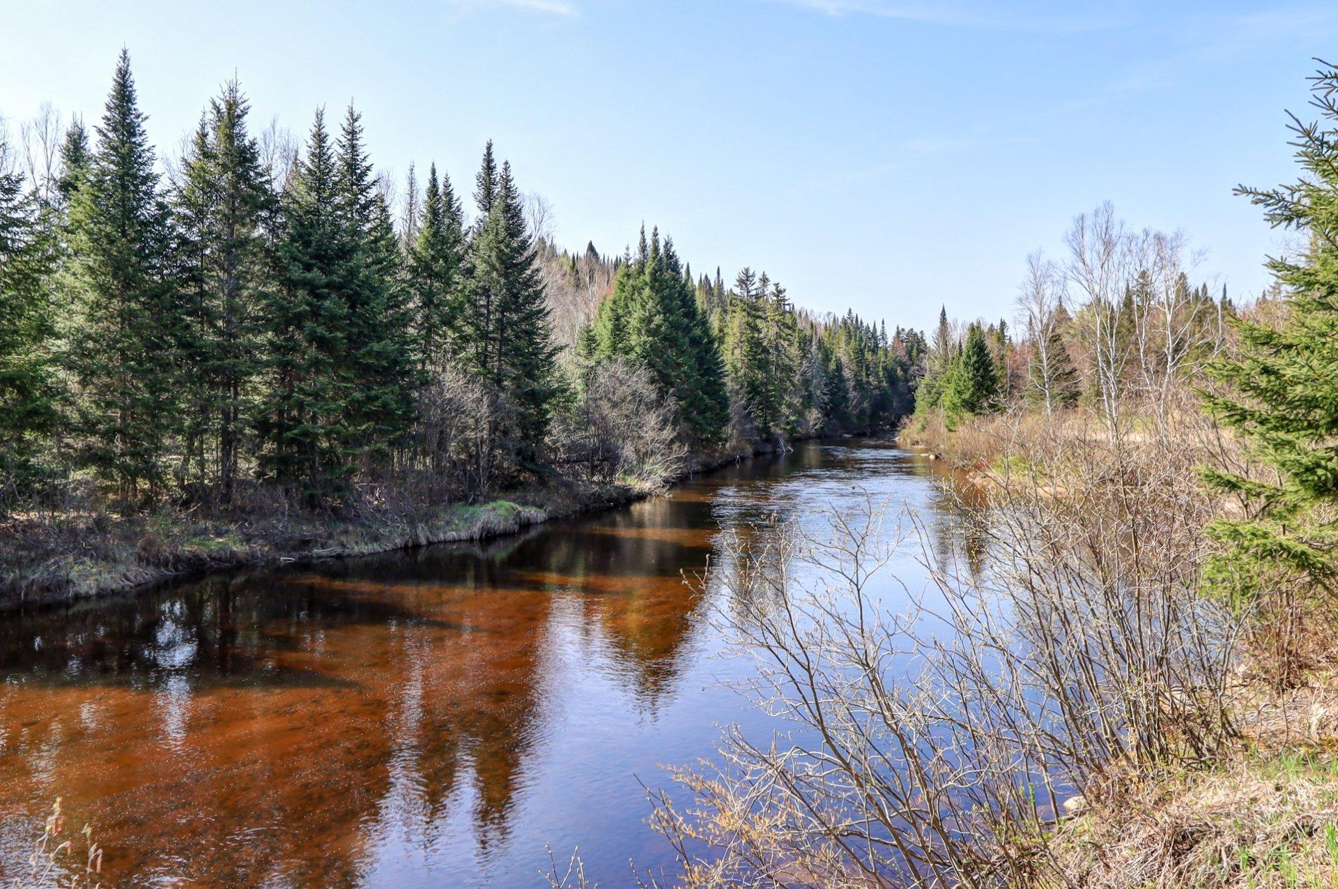 









291


Ch. du Nordet

,
Lac-Supérieur,




QC
J0T1J0

