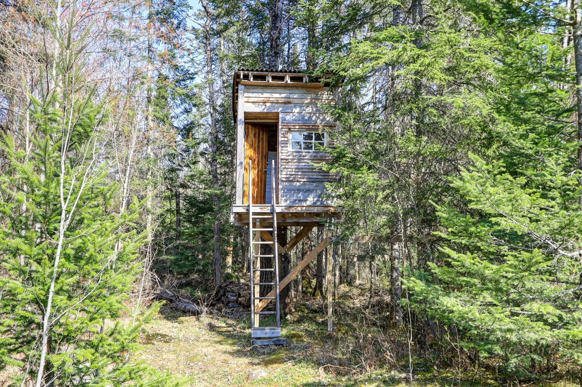 









291


Ch. du Nordet

,
Lac-Supérieur,




QC
J0T1J0

