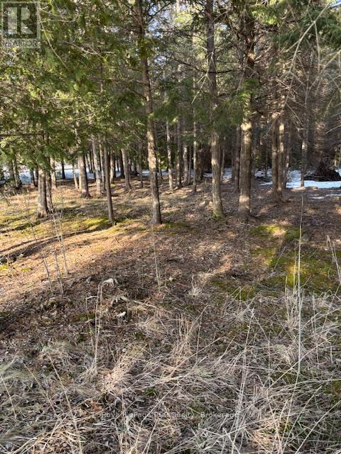 












1 SOUTHGATE SRD 57 ROAD N

,
Southgate,







Ontario
N0G2L0

