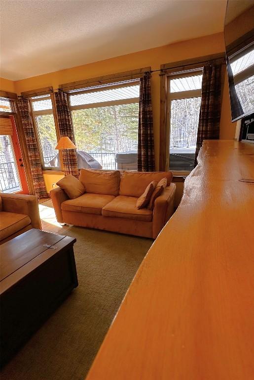 









1351


Gerry Sorensen

Way, M4-D,
Kimberley,




BC
V1A 2Y6

