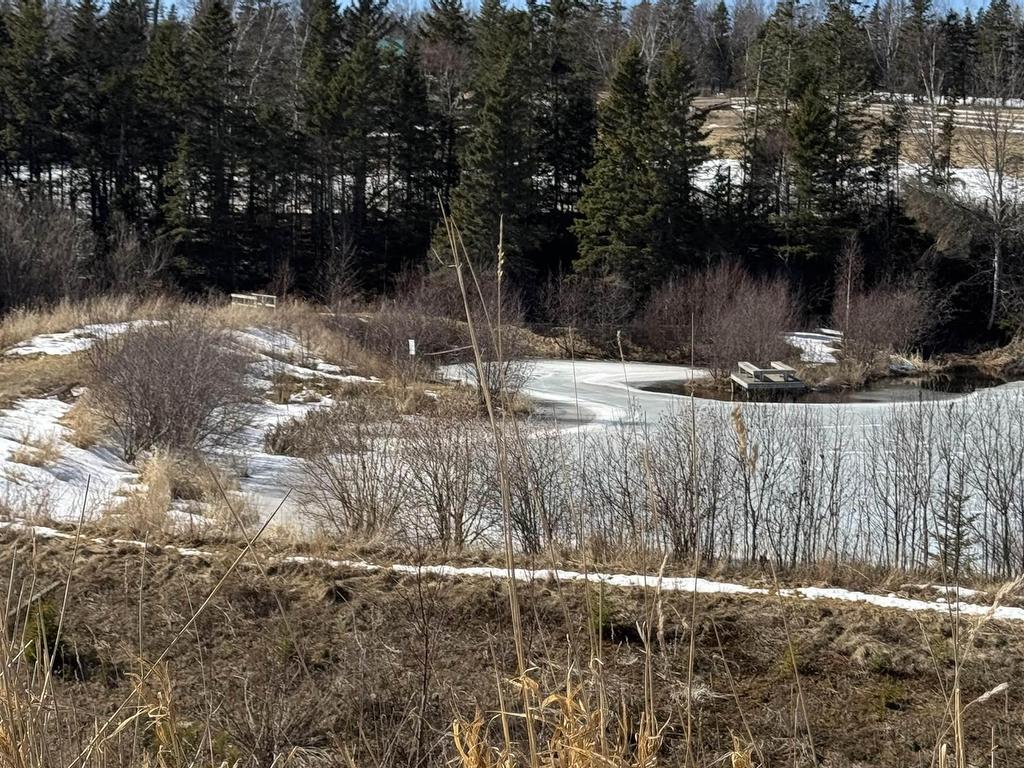 












129 Macdonald Road Road

,
Crapaud,




PE
C0A 1J0

