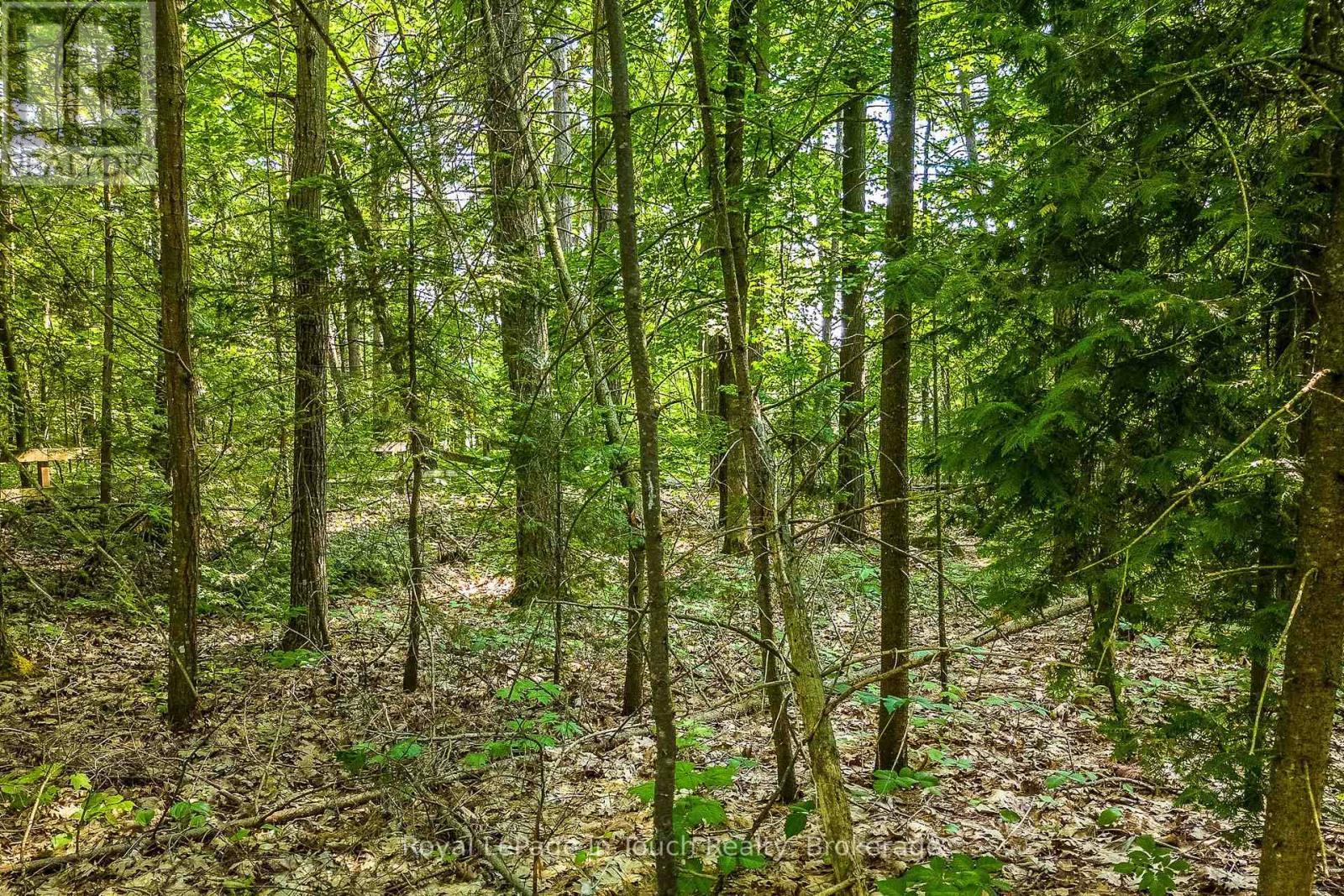 












LOT 47 TROUT LANE

,
Tiny,







Ontario
L9M0J1

