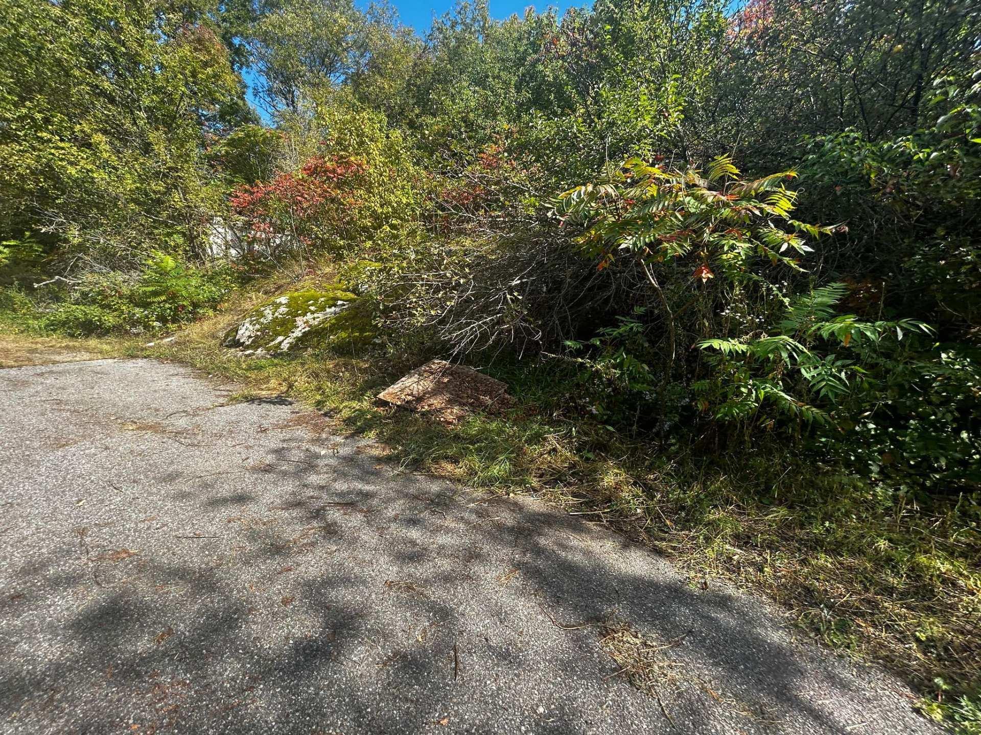 









330


Rue Bélanger

,
Gatineau (Buckingham),




QC
J8L2L9

