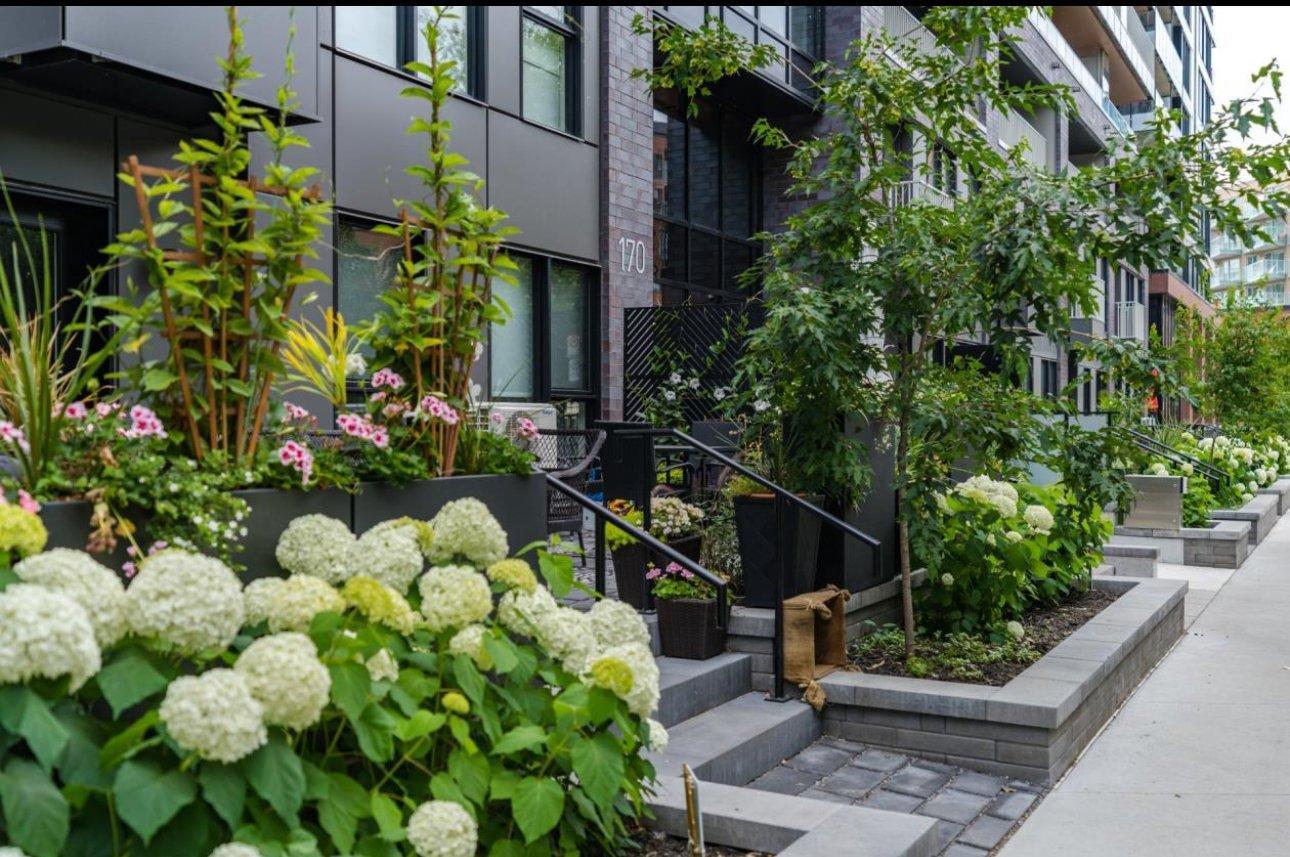 









170


Rue Rioux

, 715,
Montréal (Le Sud-Ouest),




QC
H3C2A5

