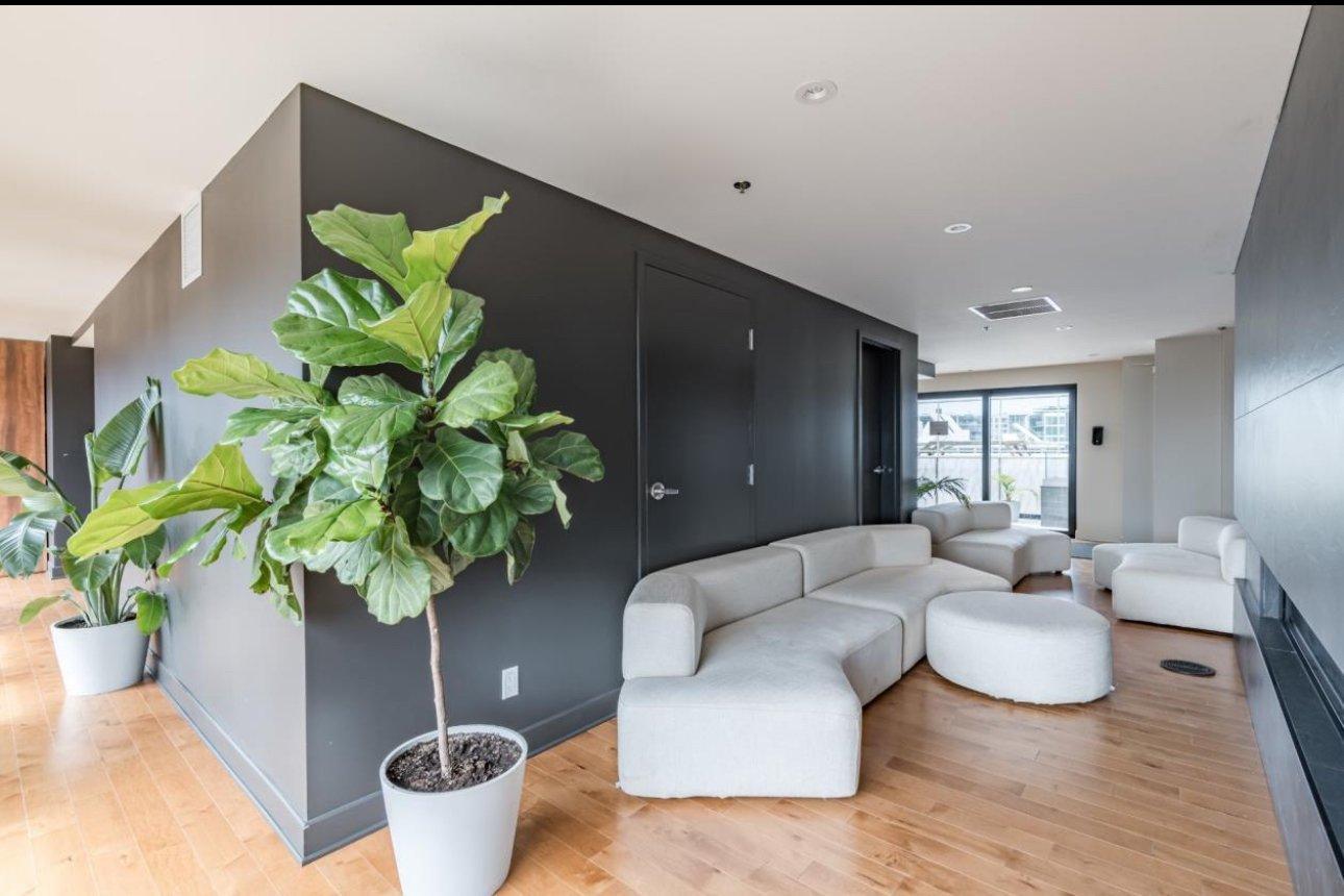 









170


Rue Rioux

, 715,
Montréal (Le Sud-Ouest),




QC
H3C2A5

