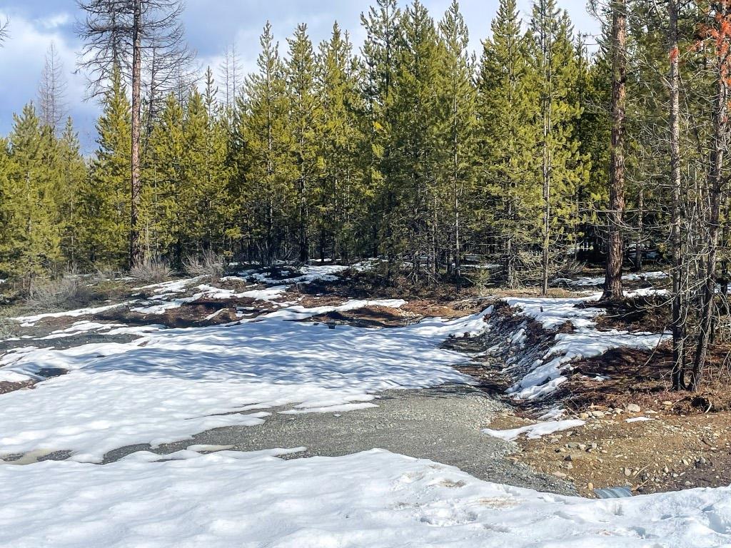









Proposed Lot 3


Soaring Eagle Estates near Jim Smith Lake

,
Cranbrook,







BC
V1C 4H5

