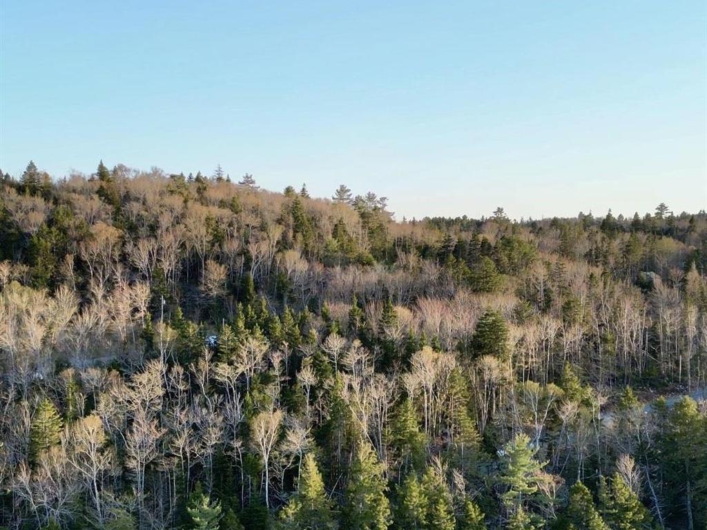 












Lot 2 821 Myra Road

,
Porters Lake,







NS
B3E 1G5


