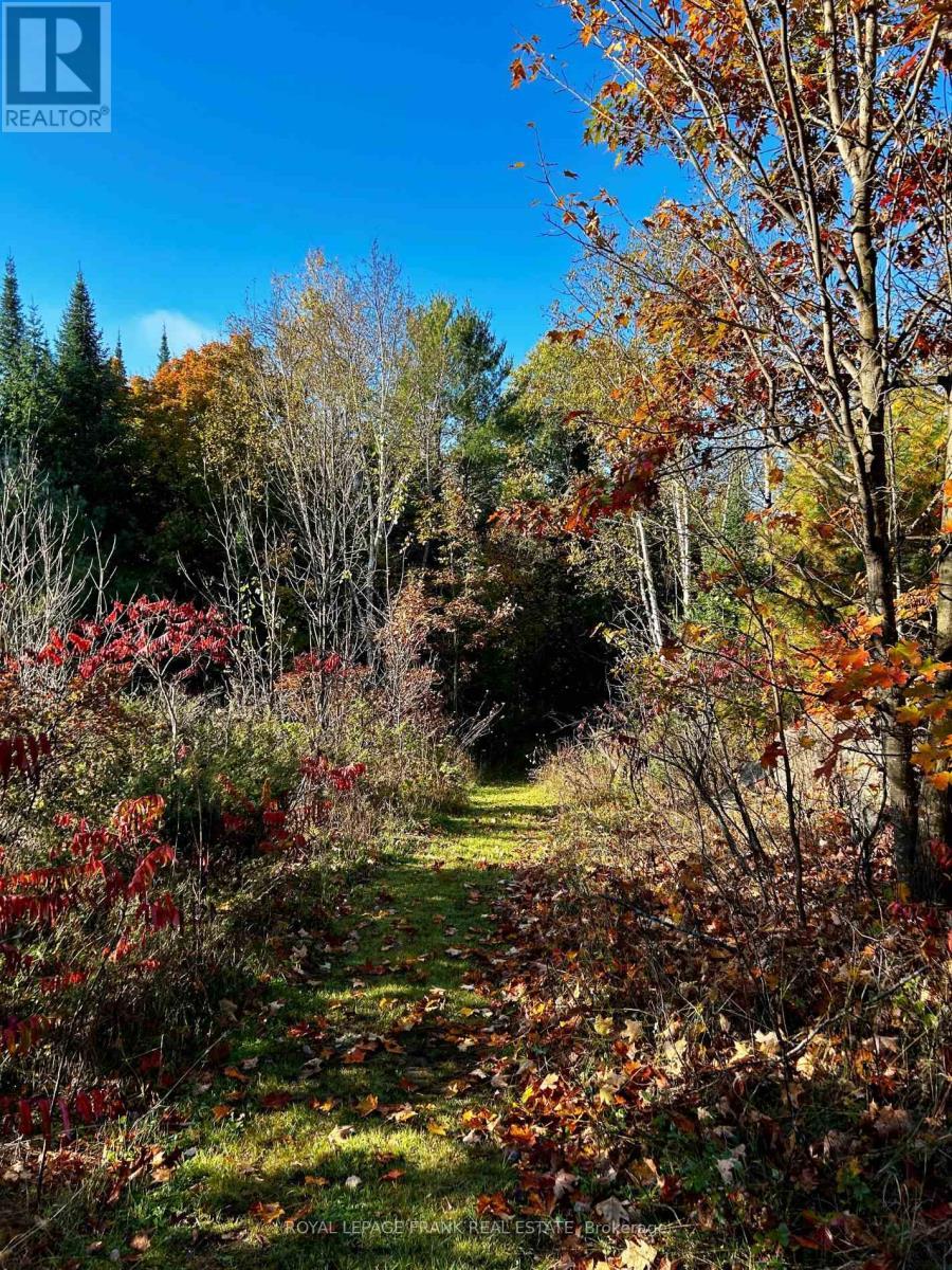 












2567 COUNTY ROAD 36 ROAD

,
Trent Lakes,




Ontario
K0L1J0


