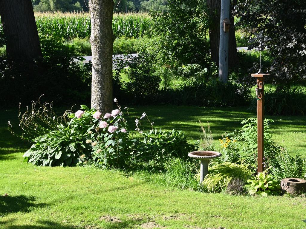 









723


Rue Principale

,
Saint-Paul-de-l'Île-aux-Noix,




QC
J0J1G0

