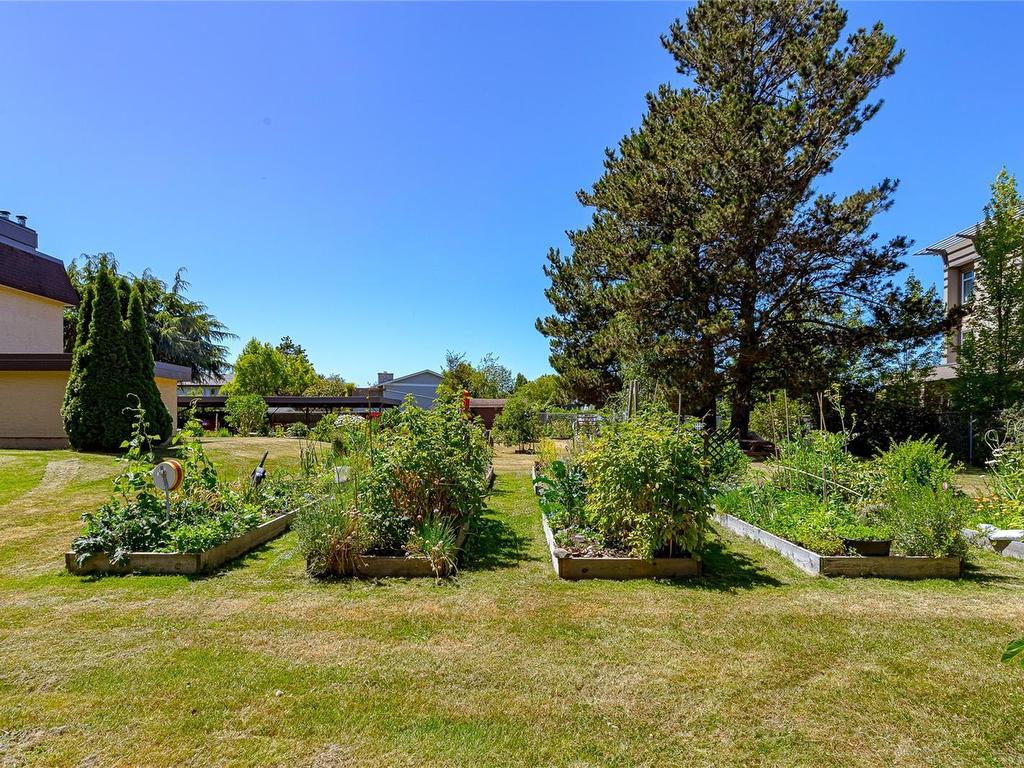 









2286


Henry

Ave, 104,
Sidney,




BC
V8L 2B2

