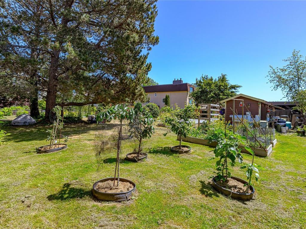 









2286


Henry

Ave, 104,
Sidney,




BC
V8L 2B2

