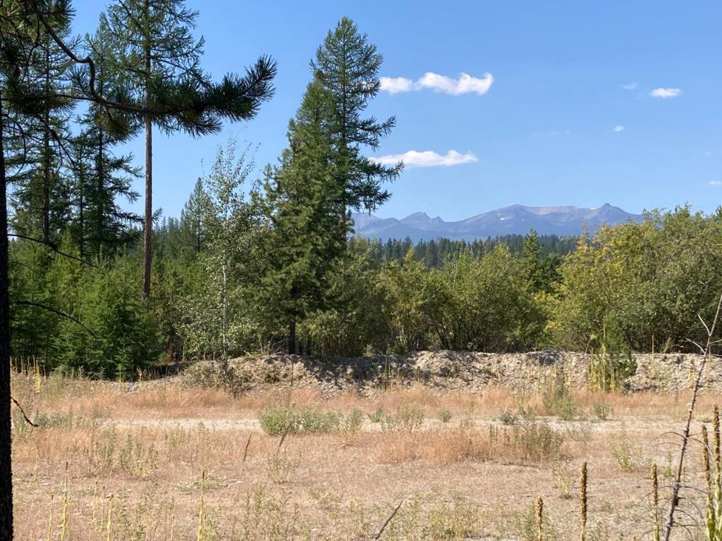 









115


Ponderosa

Point,
Kimberley,







BC
V1A 0A5

